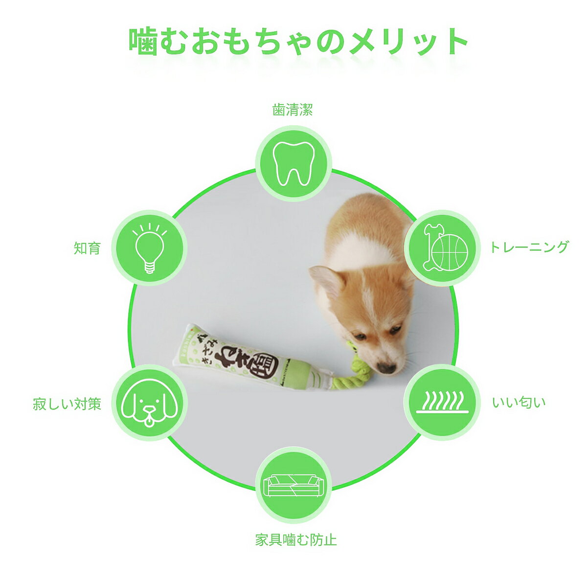 �� ������� �������פ������ ���� �ڥåȤ������ �İ����̤������ �� �ǥ󥿥륱�� �ΰ� �ѵ���ٶ�� �� ������� ������ �淿�� �緿������ ��ư��­ �ڥåȤ������ ���ȥ쥹���