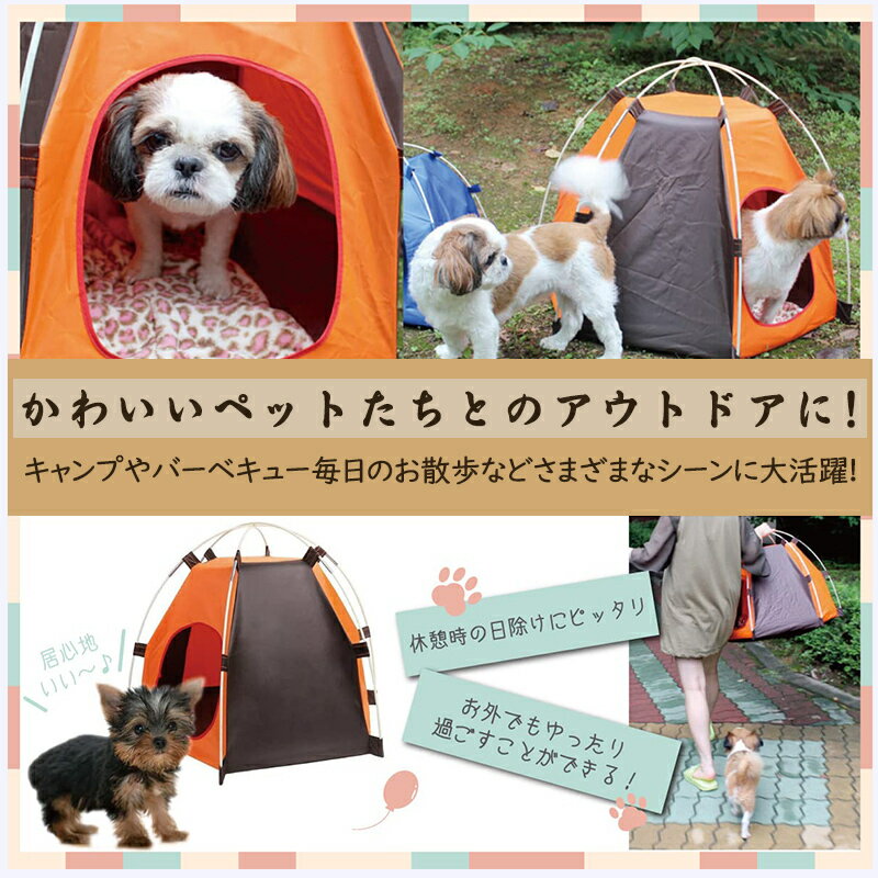 �ڥåȥƥ�� �� ǭ �ڥåȥϥ��� �ڥåȥ٥å� ������ ǭ���� �ޤꤿ���� �ƥ�ȥϥ��� �ڥåȥ٥å� �ڥåȥƥ�� �ڥå��ѥƥ�� �ڥåȥϥ��� ��ưʪ �ɿ� �ڥåȥ��ե� �Ȥ�Ω�ƴ�ñ �̵��� �͵����� ������