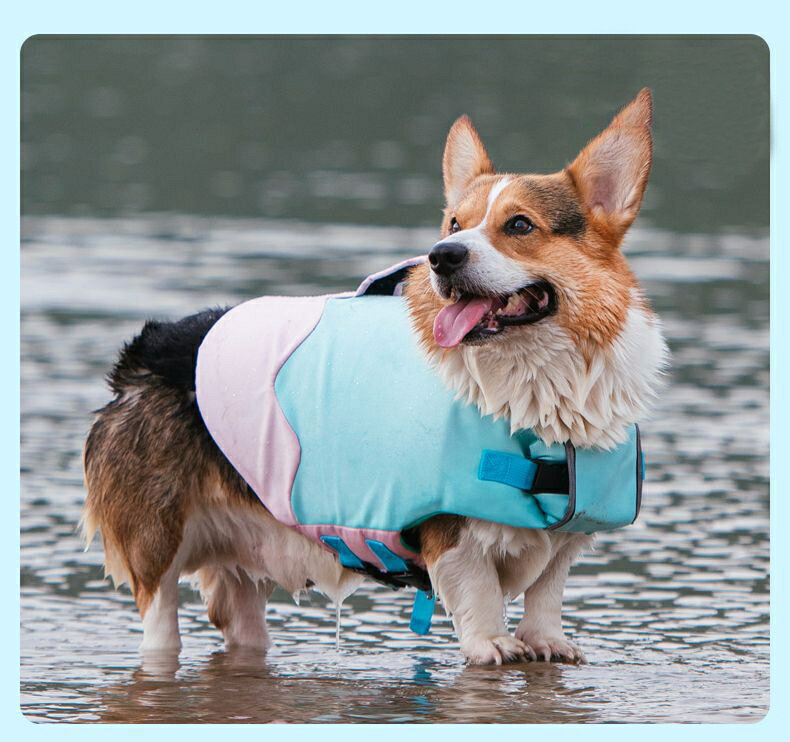 新品未使用 送料無料 おしゃれ インテリア ウェルシュコーギー クッションカバー グッズ コーギー プレゼント 中型犬 犬 雑貨 激安挑戦中 コーギー