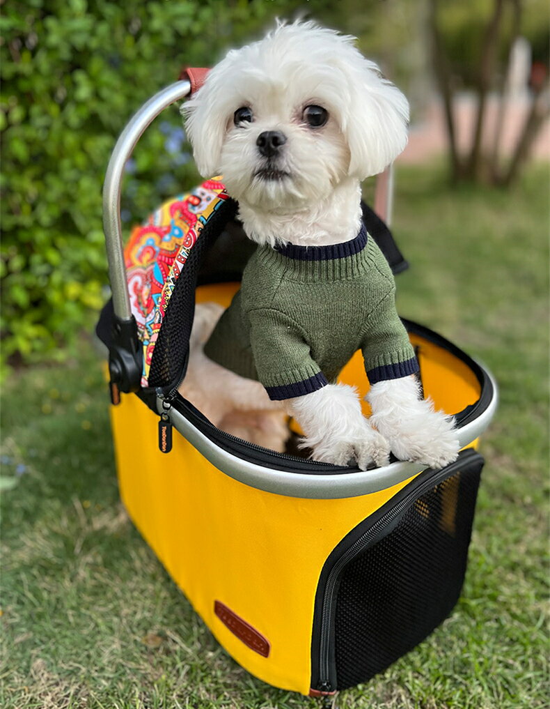 ��Ķ���̡ۥڥåȥ����� ������ �ڥåȥХå� �ޤꤿ���� ���� �� ǭ �ͤ� ¿��ǽ ¿Ƭ�� ����� �ڥåȥХ��� �Ȥ�Ω�ƴ�ñ 4�� �ޤꤿ���� �Х��� �ɥå������� ����꡼ �ڥå�����