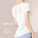ヨガウェア トップス 半袖 ヨガtシャツ レディース ヨガトップス ピラティス ウェア おしゃれ 体型カバー速乾 吸水伸縮性 かわいい ゆったり スポーツ フィットネス ジムウェア ヨガ ダンス