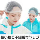 ヘアキャップ使い捨て ヘアキャップ ディスポキャップ ブルー 来客用帽子 フリーサイズ 男女兼用 工場見学 業務用 作業用 100枚 毛髪防止 抜け毛対策 ブラ...