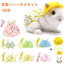 【楽天1位入賞】ウサギ服 子猫 ハーネス リード セット 可愛い うさぎ服 モルモット 小動物用 調整可能 着ぐるみ お散歩用リード お出かけ用品 矮小ウサギに...