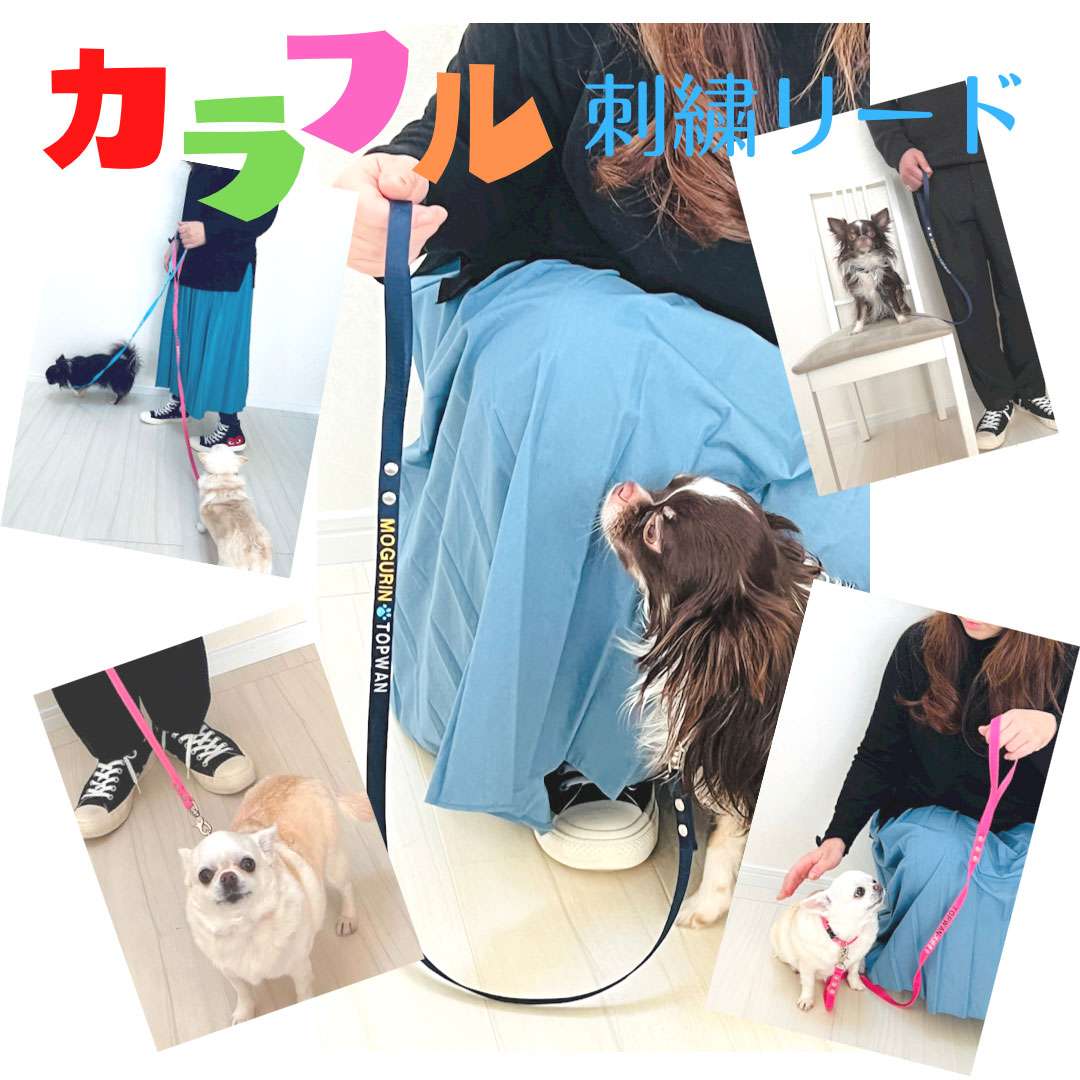 ������ ̾������ �꡼�� ̾����꡼�� ������ �淿�� M������ �ɤ��夦 �꡼�� ���ä�ȴ���ɻ� ���֥�꡼�� �� �꡼�� �͡��� ̾���� ̾�� ̾���� ���˥���� ���������ᥤ�� ������� ���襤�� �Ƹ� �ե�֥� ����ʥ����� ®�� TOPWAN �ȥåץ�� ���� ���ե� �ɽ�