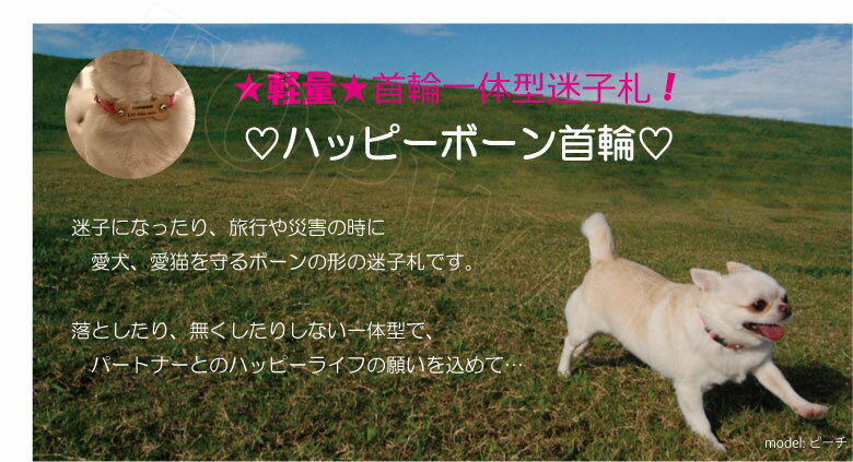 犬 迷子札 オーダー Lサイズ TOPWAN　中型犬 大型犬 迷子札首輪 軽い 犬用迷子札 名前入 名前入り首輪 名入れ ドッグタグ ネームタグ 革 本革 犬首輪 首輪 メール便送料無料 迷子防止