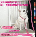 日本製 洗える 犬 迷子札首輪と刺繍ネームリードのお得なセット Sサイズセット超軽量 迷子札 首輪 リード 犬用迷子札 刺繍迷子札首輪 小型犬 刺繍ネーム首輪 ...