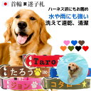 犬 迷子札 首輪 Lサイズ 日本製 中型