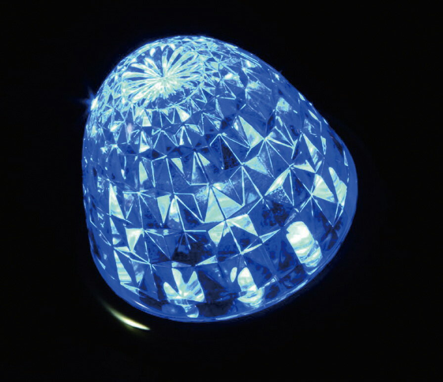 JET INOUE ジェットイノウエ 532681 LED12 クィーンスターライト バスマーカーランプ クリアーレンズ仕様 DC24V ブルー