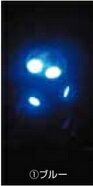 Rakuten - JET INOUE ジェットイノウエ 529251 LA-02 LED T10ウェッジバルブNEO ブルー