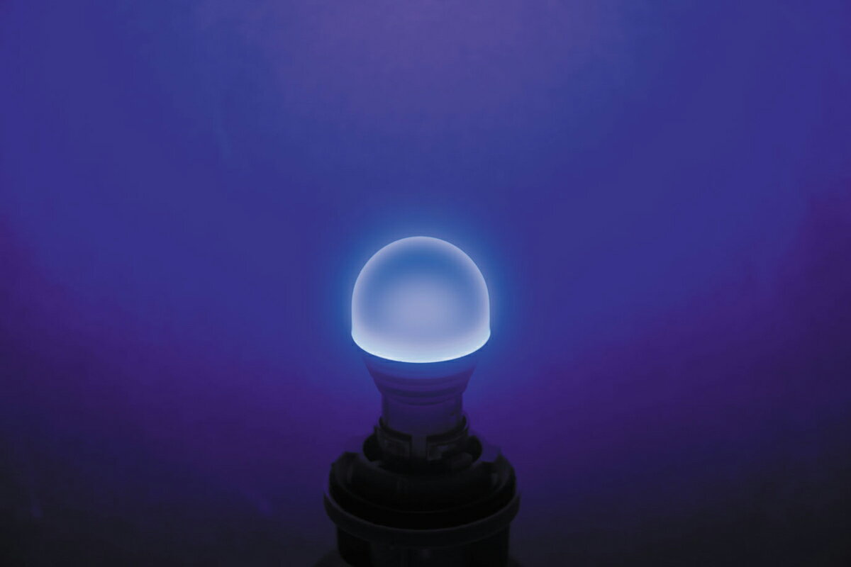 Rakuten - JET INOUE ジェットイノウエ 529581 LC-04 LEDハイパワー3Dバルブ ブルー