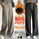 裏起毛 パンツ レディース 冬 裏起毛 カシミヤ ワイドパンツ ウエストゴム イージーパンツ ボトムス ストレッチ ポケット付き きれいめ さらてろ 高身長 低身長 パンツ あったかい 防寒 厚手 カジュアル 通勤 オフィス 大きいサイズ 送料無料