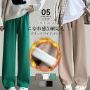 裏起毛 パンツ レディース 冬 裏起毛 ワイドパンツ ウエストゴム イージーパンツ ボトムス ストレッチ きれいめ さらてろ リブ ワンマイルウェア 低身長 高身長 あったかい 防寒 厚手 カジュアル 通勤 オフィス 送料無料