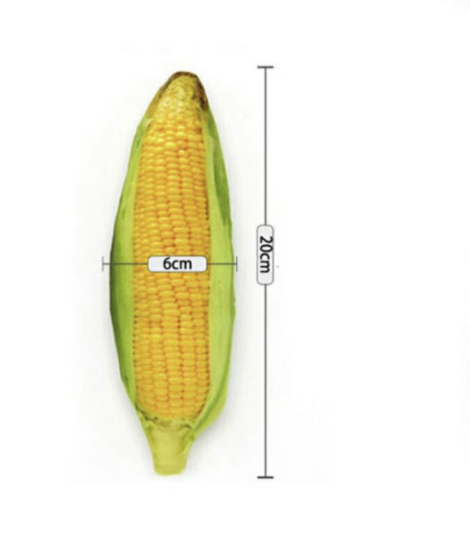 �����ʤ������̤�����ߤȤ���������֡��֡��Ф�