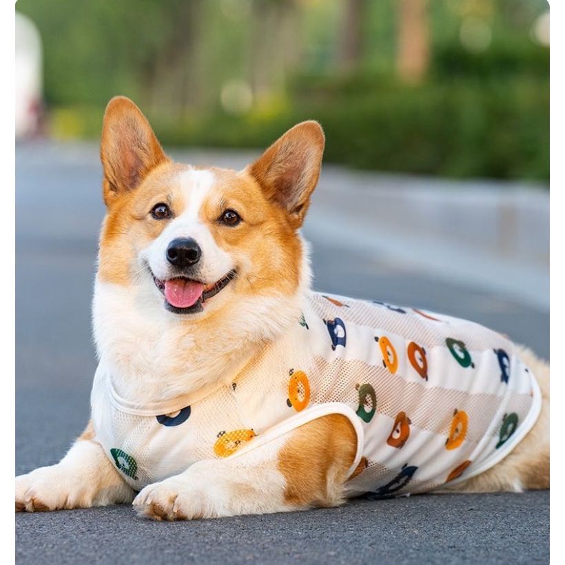 Rakuten - 犬服犬の服大型犬服夏服ひんやり生地クール伸縮性あり柴犬服ラブラドルレトリバー服ゴールデンレトリバー服