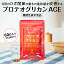 【機能性表示食品】プロテオグリカン ACE - 膝 軟骨 サプリ、非変性2型コラーゲン、非変性II型コラーゲン、プロテオグリカン サプリ