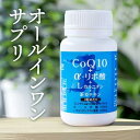 CoQ10+α-リポ酸+Lカルニチン 90粒 (45日分)