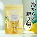プロテタイト配合 海のエールチュアブル【100粒入 】I型コラーゲン&ミネラル配合サプリメント