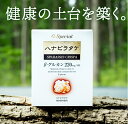 高濃度ハナビラタケ G-Special ハナビラタケ 120粒入り(60日分) β-グルカン サプリメント はなびらたけ サプリ