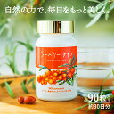 シーベリー 果実 オイル サプリメント シーベリーライフ 90粒入り(30日分) サプリ 送料無料 シーベリーエキス サジー 栄養素 オメガ7 オメガ3 オメガ...