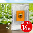 エントリーでポイント14倍かぼちゃオイル カボチャオイル 120粒入り(60日分) ペポカボチャ 西洋カボチャ サプリメント