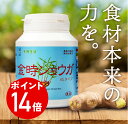 エントリーでポイント14倍金時ショウガ粒 720粒入り(30日分) サプリメント ガラノラクトン ジンゲロール ショウガオール 温活 冷え