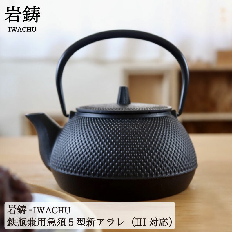 岩鋳 南部鉄器 鉄瓶 兼用 急須 5型新