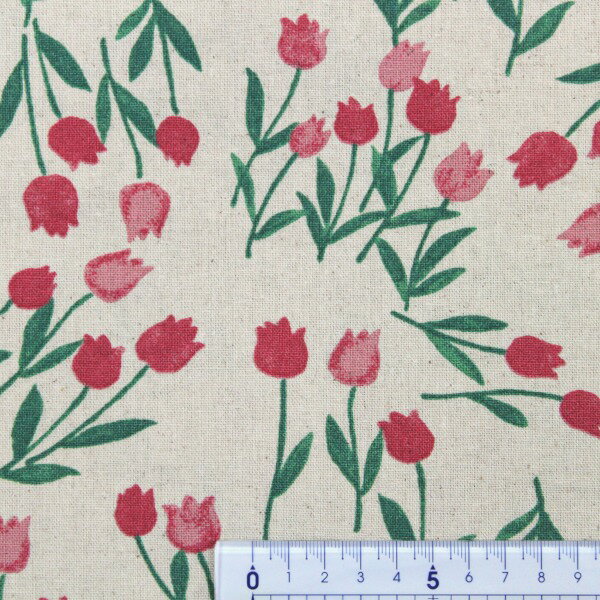 チューリップ Language of flowers 