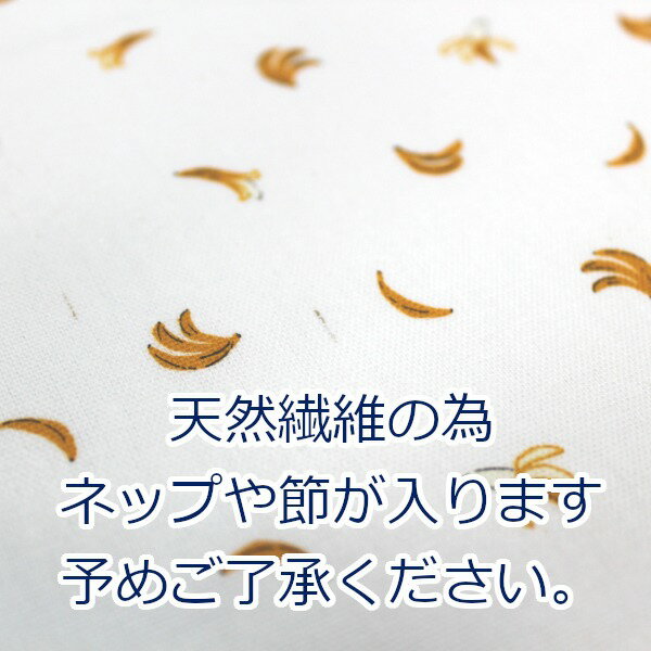 ミニバナナ オックス 果物