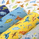 【10cm単位価格】 恐竜 Dinosaurs リップル 生地 布 綿100％ 甚平 浴衣 約108cm幅 ゆうパケット2m対応 （ ハンドメイド 手作り かっこいい 男の子 手芸 巾着 雑貨小物 日本製 ）