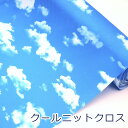 【10%OFF 9月14日限定】 ウエットクールニット 青空 空柄 雲柄 Cool Cloth 接触冷感 ひんやりクールクロス 冷たい 生地 布 ナイロン55% ポリエステル45% 約72cm幅 3026-36 ゆうパケット2m対応( ハンドメイド 手作り 小物 手芸 雑貨 ベビー ペット)