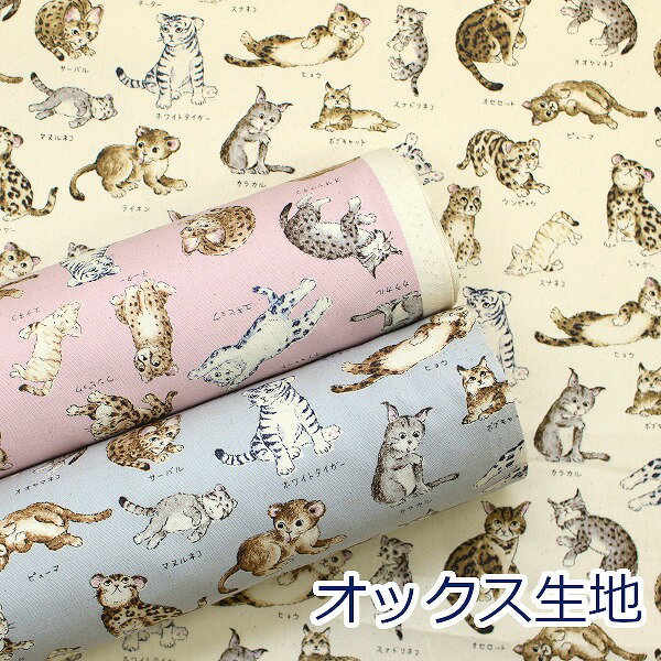 【10cm単位価格】図鑑シリーズ 図鑑ネコ ねこ にゃんこ 動物柄 KOKKA オックス 綿100％ 生地 布 約110cm幅 YP-61000-1 ゆうパケット2m対応 （ ハンドメイド 手作り かわいい 入園入学 バッグ 手芸 裁縫 巾着 雑貨小物 日本製 ）