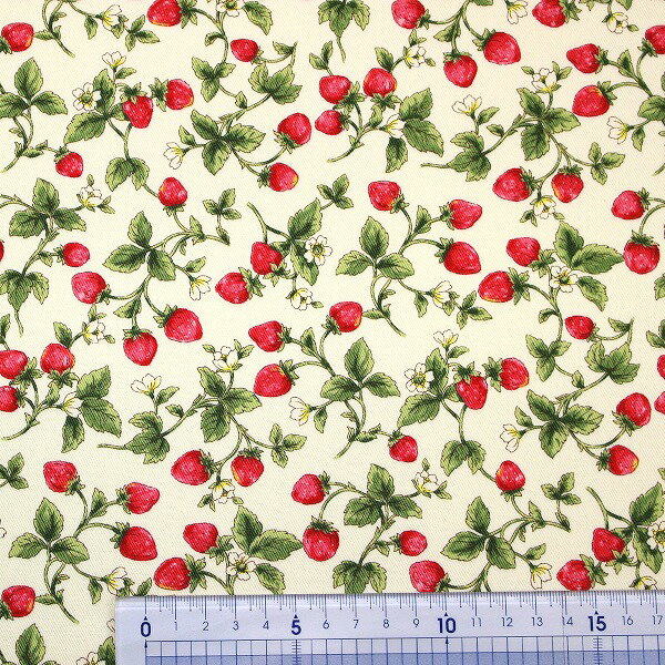 【10cm単位価格】 小さいイチゴ 草花 花柄 いちご 果物柄 コットンツイル 綿100％ 生地 布 約110cm幅 コットンこばやし KTS7131 ゆうパケット2m対応 （ ハンドメイド 手作り おしゃれ 手芸 裁縫 入園 入学 巾着 雑貨小物 日本製 ） ポイント3倍＆5％OFFクーポン対象 2