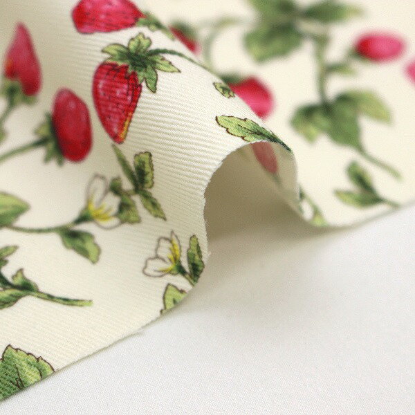【10cm単位価格】 小さいイチゴ 草花 花柄 いちご 果物柄 コットンツイル 綿100％ 生地 布 約110cm幅 コットンこばやし KTS7131 ゆうパケット2m対応 （ ハンドメイド 手作り おしゃれ 手芸 裁縫 入園 入学 巾着 雑貨小物 日本製 ） ポイント3倍＆5％OFFクーポン対象 3