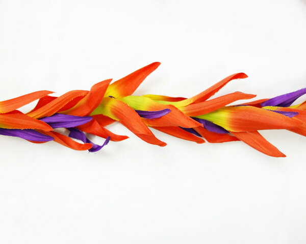 �ե���󥹰������쥤���ϥ磻���־��ꡡ���٥�ȡ��ե顡�ϥ磻����쥤���ե��쥤 ���󥰥쥤��ORL-06���С��ɥ��֥ѥ���������󥰥쥤