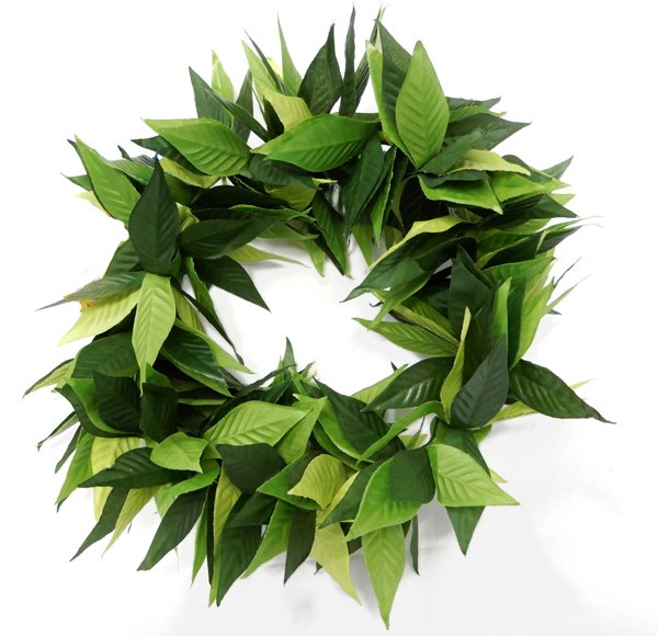 フラダンス衣装　ヘッドバンド　レイポー　ヘッドレイ　レイ　ハワイアンレイ　フラワーレイ　ハワイ　..