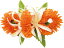 フラダンス衣装　髪飾り　花飾り　ヘアクリップ　イベント　フラ　CL-69　イリマダブルスパイダーリリーMクリップ　オレンジ　ホワイト