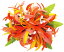 フラダンス衣装　髪飾り　花飾り　スパイダーリリー　ヘアクリップ　イベント　フラ　CL-33　スパイダーリリーブロッサムクリップ　オレンジ