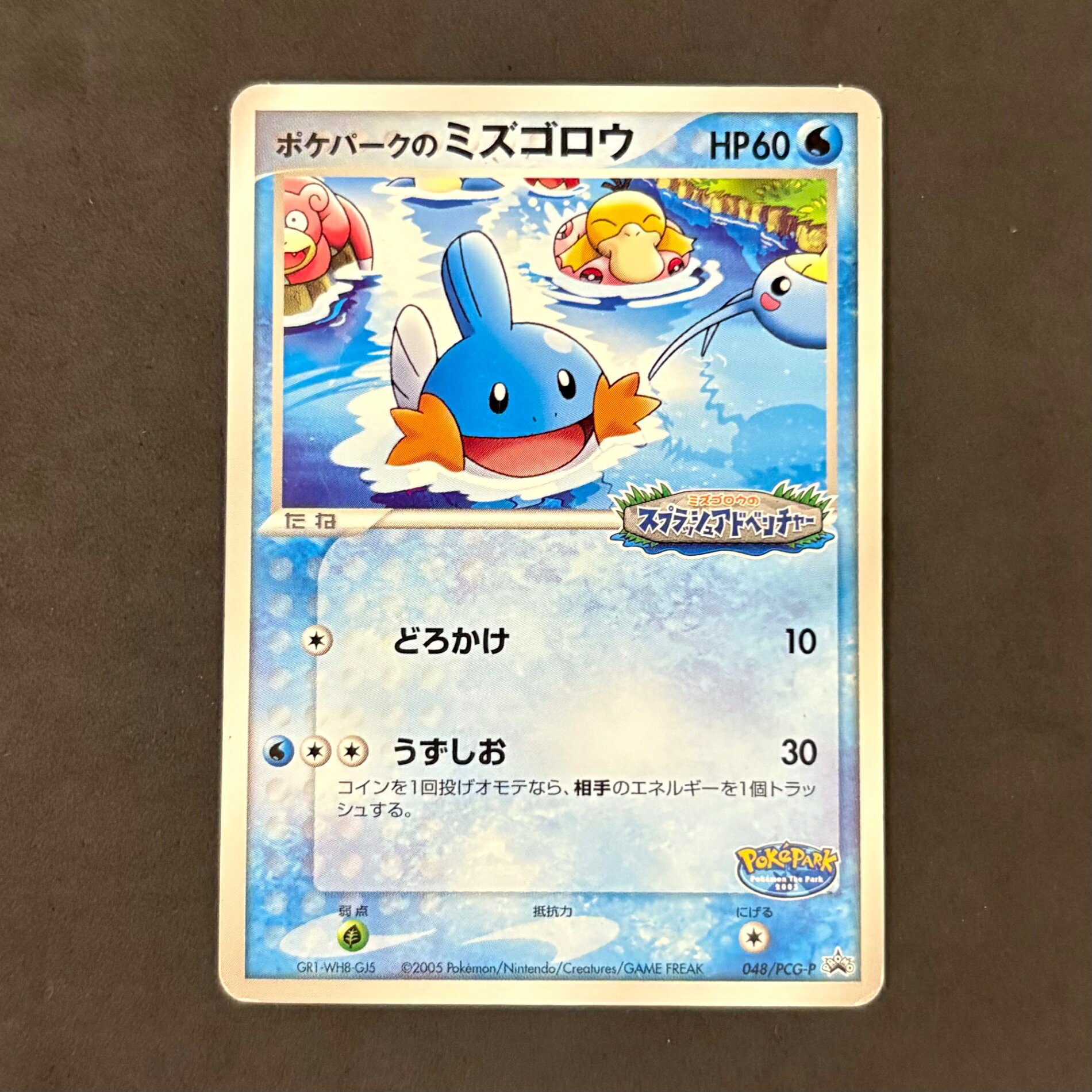 楽天市場】ミズゴロウ ポケカの通販