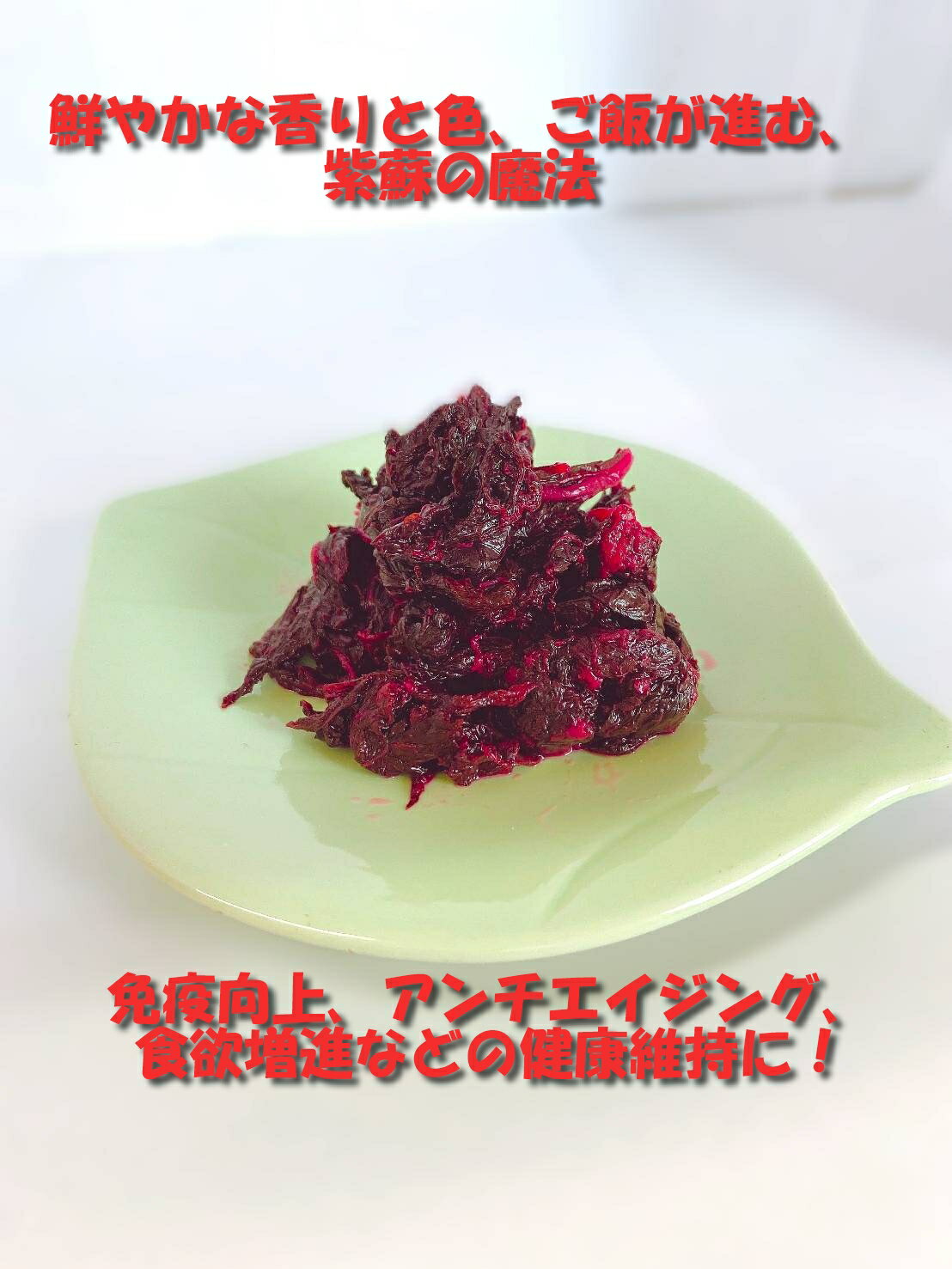 ����äѤ� �ߴ��� �� ���� ���� siso 130g�߻��� �ߤ��� �����Ҥ� ���ǯ ���� ���� ��̣˭ �ߴ� �֤��� �֤��� ���Ҥ� �ֻ��� ̵ź�� ̵�忧 ��¸���ʤ� �� ���컺 ���츩�� ���츩 ���� ���� ���� ���ӤΤ��� �ӵͤ� ���ե� �ӵ� ���ˤ���ζ� ����̵��