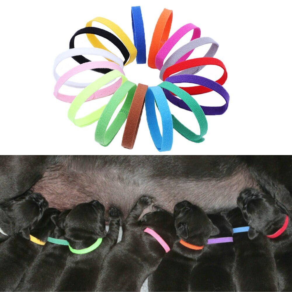 12�ܥ��å� ���� �� ������ �淿�� ǭ ������� ���襤���ڥݥ���Ⱦò���