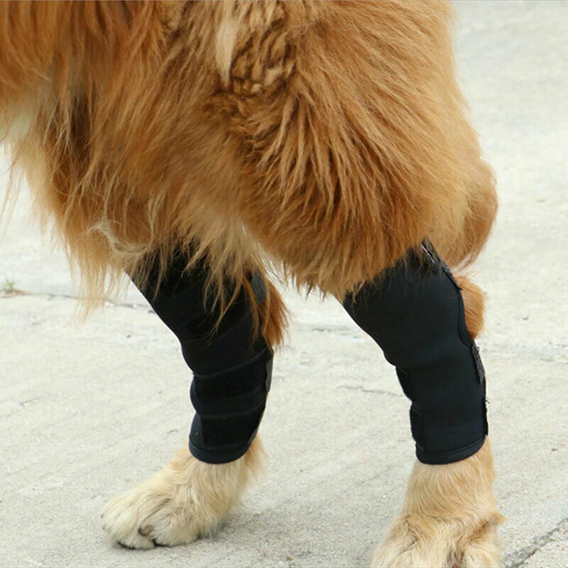 torekagu 関節プロテクター 犬用膝サポーター ペット用ケア用品
