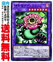 【中古】 [R] 捕食植物キメラフレシア (捕食植物5_融合闇7/LVP3-JP072)