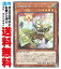 【中古】 [Secret] 憑依装着−ライナ (3_光4/PAC1-JP033)