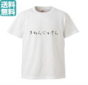 オリジナルTシャツ1枚から 記念受験 黒 Ver. 男女兼用 部屋着 S M L XL【プリントTシャツ】 オリジナル プレゼント おもしろ パロディ 記念 漢字 受験 試験 小ロット イベント 人気 おすすめ 子供 高品質 作成 制作 印刷 デザイン おしゃれ 自作 卒業 入学