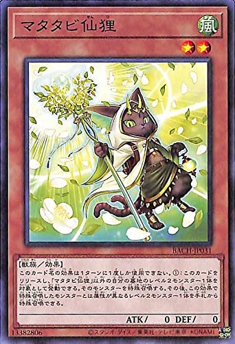 マタタビ仙狸 （遊戯王）（ノーマ