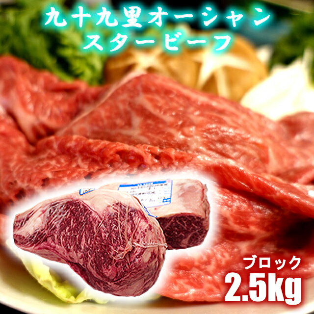 ブロック肉 2.5kg 冷凍 九十九里オーシャンスタービーフ 国産牛 牛肉 塊肉 焼肉 鉄板焼き ステーキ しゃぶしゃぶ 焼き肉 千葉の潮風と大地の中でこだわり抜いて育てました 業務用 お中元 父の…