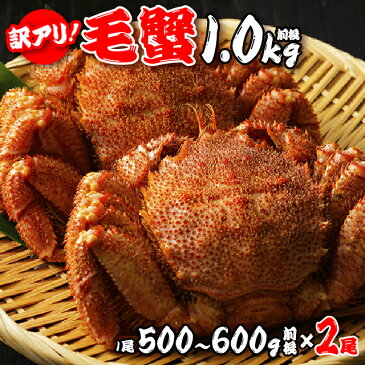 スーパーセール50%OFF 初回購入500円オフ 訳あり毛蟹 1.0kg前後(1尾500-600g前後×2尾)北海道産 活ゆで 身入ぎっしり蟹味噌ぎっしりの最高級! プレゼント ギフト父の日 お中元 敬老の日 お歳暮 クーポン割