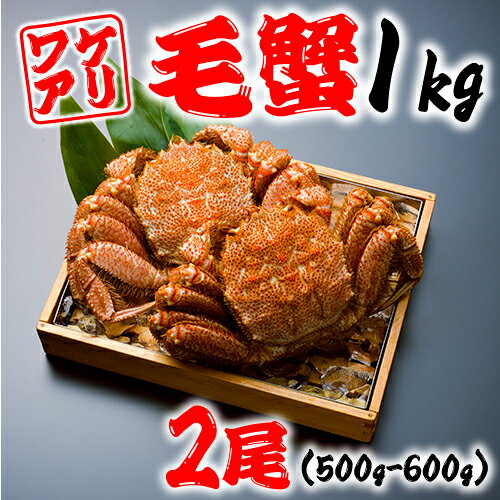 楽天スーパーセール半額！初回購入300円オフ！訳あり 毛蟹 1kg前後(1尾500-600g前後×2尾)足折れ1-2本 北海道産 活ゆで 身入ぎっしり蟹味噌ぎっしりの最高級！ プレゼント 年末年始 お歳暮 タラバガニ不漁のためオススメです