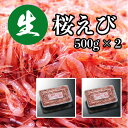 今が旬！生桜えび 500g×2pc 1kg（冷凍）▼静岡 駿