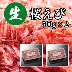 今が旬！生桜えび 500g×2pc 1kg（冷凍）▼静岡 駿河湾産 送料無料 静岡産 由比 由比港水揚げ サクラエビ 桜えび 桜エビ 桜海老 刺身 軍艦巻き かき揚げ 海鮮丼 駿河湾 お取り寄せグルメ ギフト プレゼント 海鮮 SHOWチャンネル お歳暮